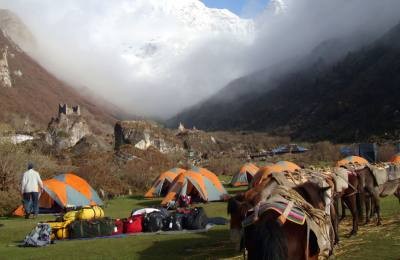 Chomolhari Trek with Paro and Thimphu Tour