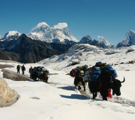 EBC via Gokyo Lakes Trek Photo