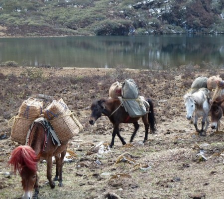 Janye Tsho Lake