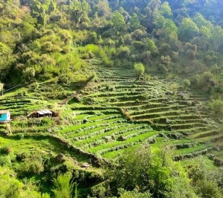 Beautiful tiny villages and terraced crops